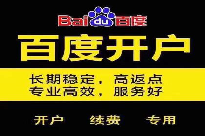 百度竞价广告的投放策略及某行业案例剖析